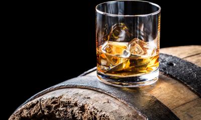 Oldenburg Whisky Tasting